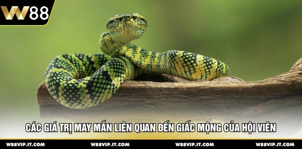 Các giá trị may mắn liên quan đến giấc mộng của hội viên