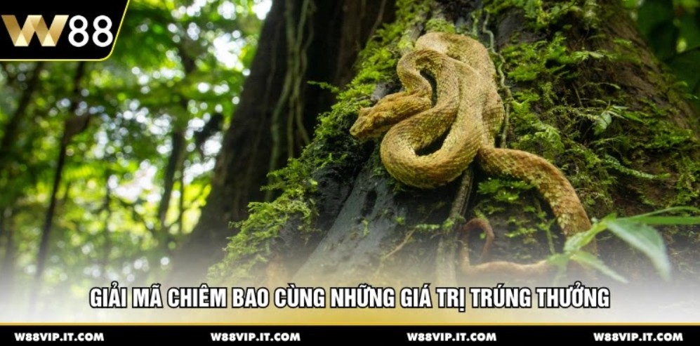 Giải mã chiêm bao cùng những giá trị trúng thưởng